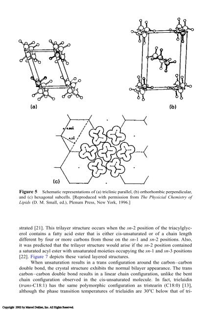 Food Lipids: Chemistry, Nutrition, and Biotechnology