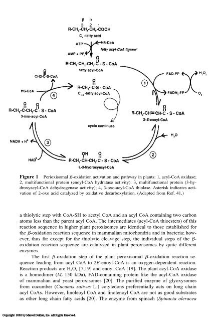 Food Lipids: Chemistry, Nutrition, and Biotechnology