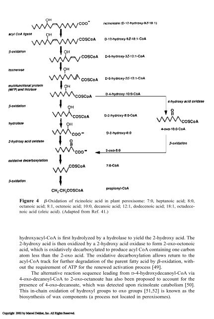 Food Lipids: Chemistry, Nutrition, and Biotechnology