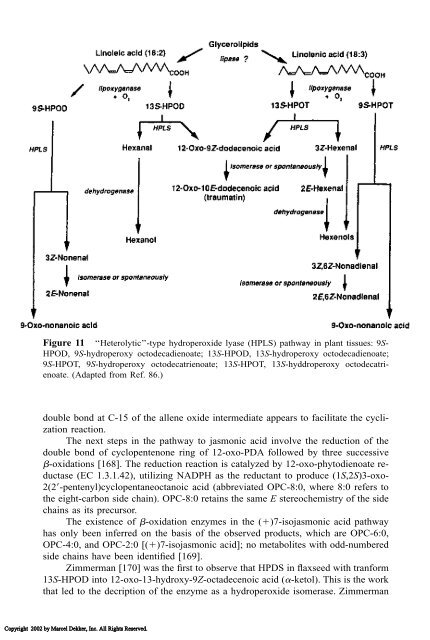 Food Lipids: Chemistry, Nutrition, and Biotechnology