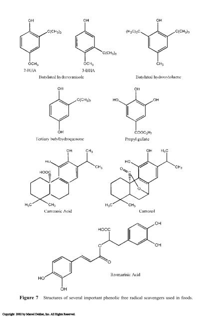 Food Lipids: Chemistry, Nutrition, and Biotechnology