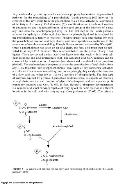 Food Lipids: Chemistry, Nutrition, and Biotechnology