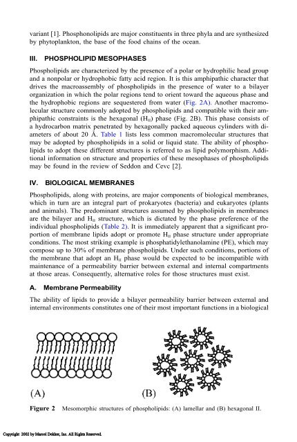 Food Lipids: Chemistry, Nutrition, and Biotechnology