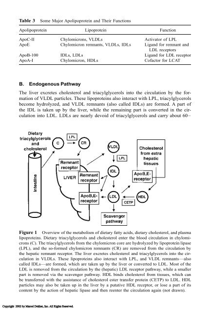 Food Lipids: Chemistry, Nutrition, and Biotechnology