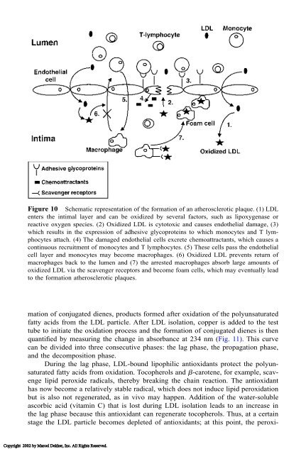 Food Lipids: Chemistry, Nutrition, and Biotechnology