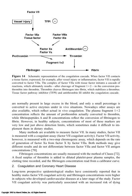 Food Lipids: Chemistry, Nutrition, and Biotechnology