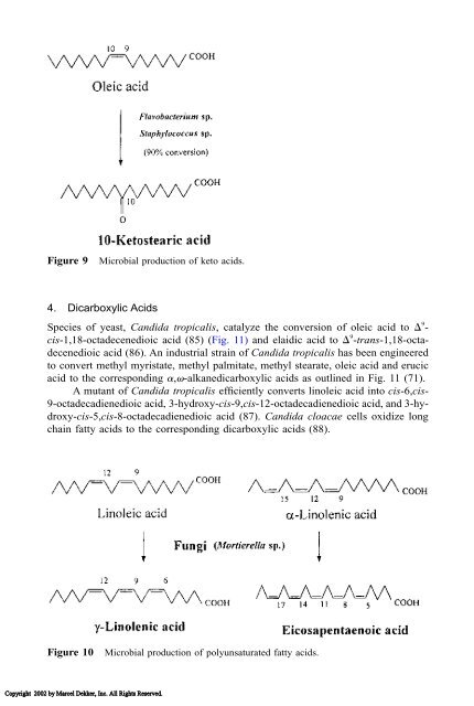 Food Lipids: Chemistry, Nutrition, and Biotechnology