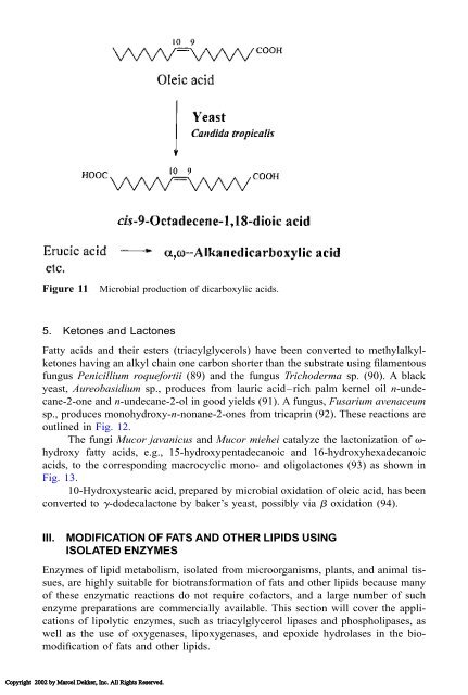 Food Lipids: Chemistry, Nutrition, and Biotechnology