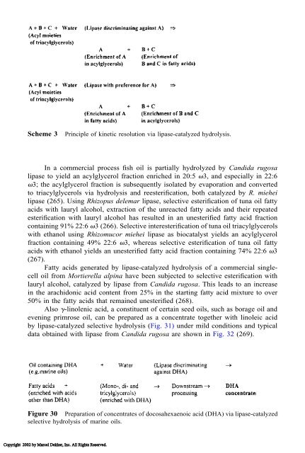 Food Lipids: Chemistry, Nutrition, and Biotechnology