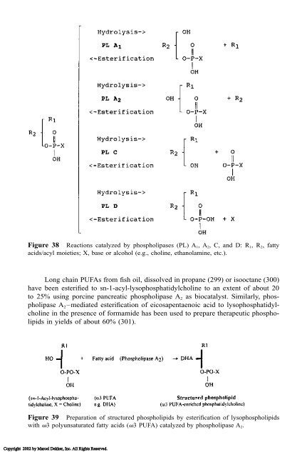 Food Lipids: Chemistry, Nutrition, and Biotechnology