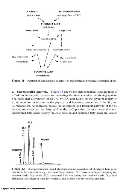 Food Lipids: Chemistry, Nutrition, and Biotechnology