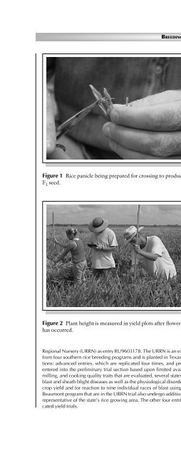 Principles of Plant Genetics and Breeding