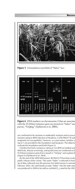 Principles of Plant Genetics and Breeding