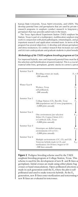 Principles of Plant Genetics and Breeding