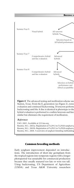 Principles of Plant Genetics and Breeding