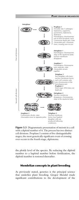 Principles of Plant Genetics and Breeding