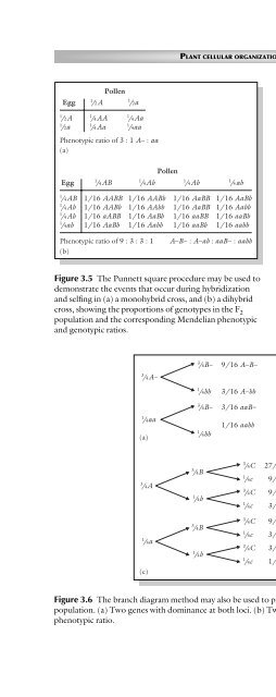 Principles of Plant Genetics and Breeding