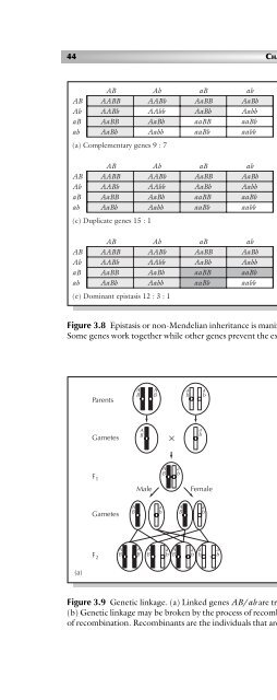 Principles of Plant Genetics and Breeding