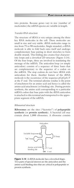 Principles of Plant Genetics and Breeding