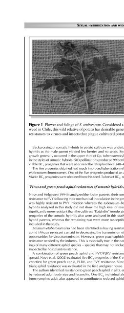 Principles of Plant Genetics and Breeding