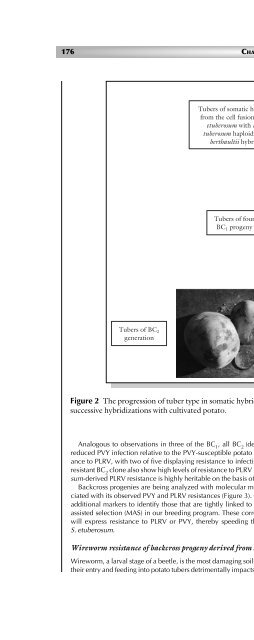 Principles of Plant Genetics and Breeding