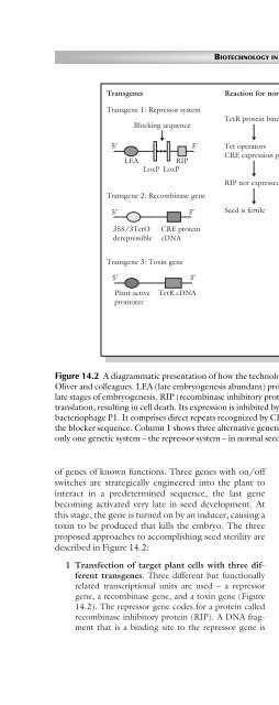 Principles of Plant Genetics and Breeding