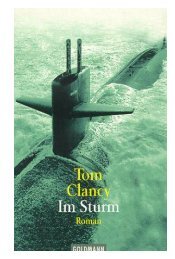 tom clancy im sturm