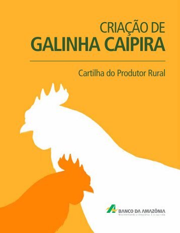 Criação de Galinha Caipira