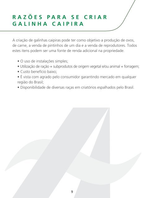 Criação de Galinha Caipira