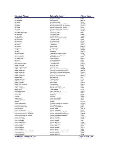 FRCC - NRCS Plant Code Lis