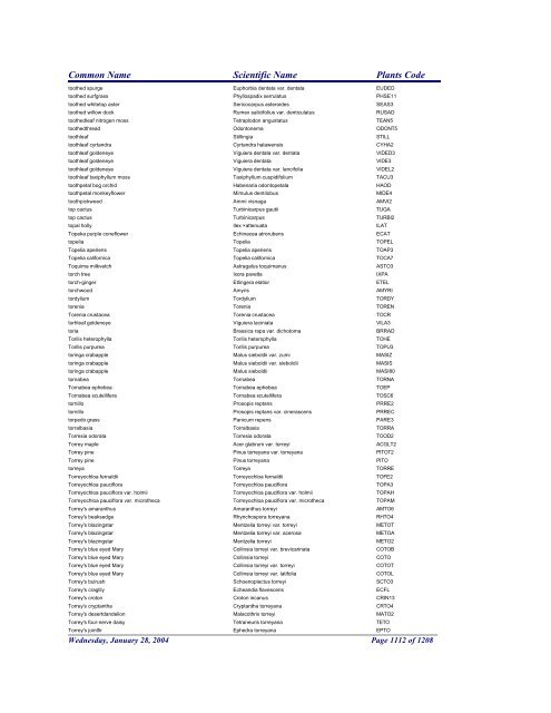 FRCC - NRCS Plant Code Lis