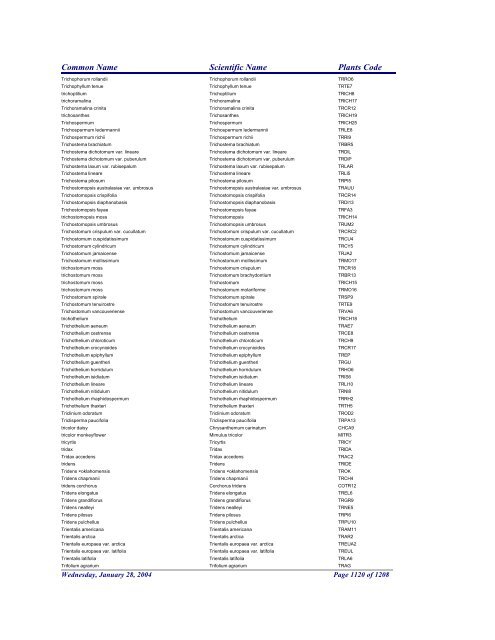 FRCC - NRCS Plant Code Lis