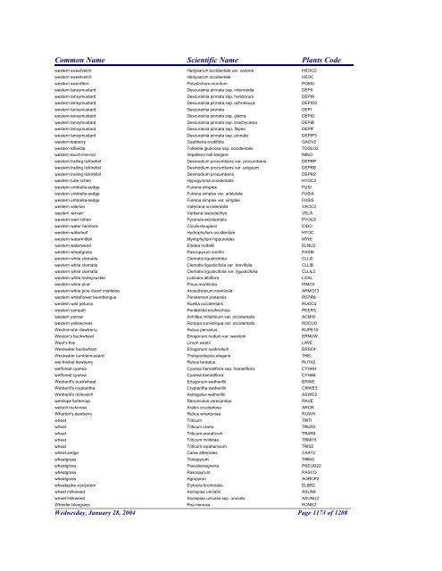 FRCC - NRCS Plant Code Lis