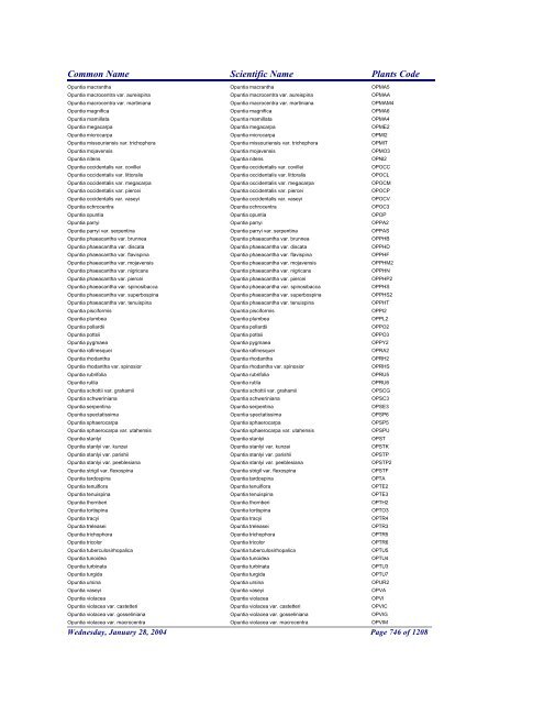 FRCC - NRCS Plant Code Lis