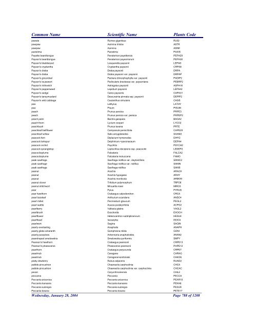 FRCC - NRCS Plant Code Lis