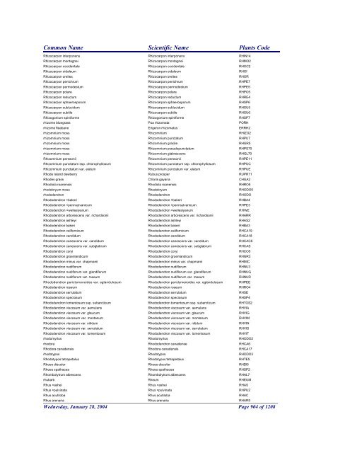 FRCC - NRCS Plant Code Lis