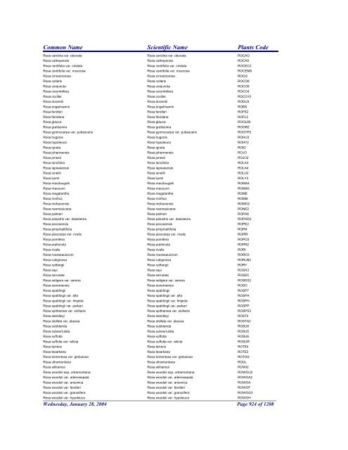 FRCC - NRCS Plant Code Lis