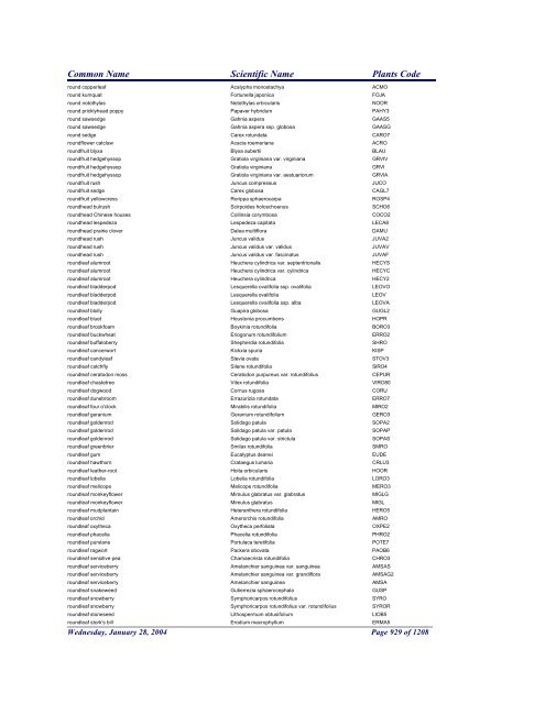 FRCC - NRCS Plant Code Lis