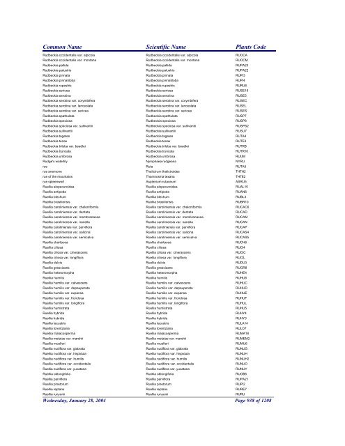 FRCC - NRCS Plant Code Lis