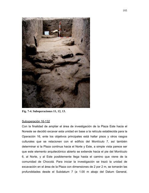 proyecto arqueológico chocolá: informe no. 3 informe no. 3