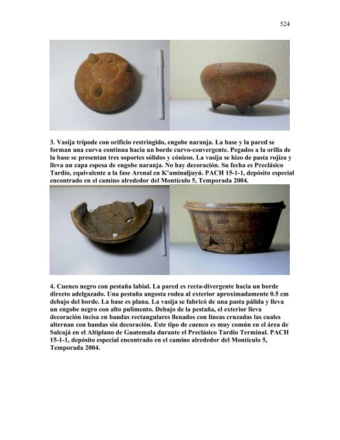 proyecto arqueológico chocolá: informe no. 3 informe no. 3