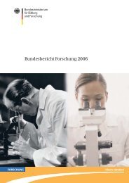 Bundesbericht Forschung 2006 - Forschungszentrum Neurosensorik