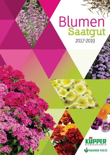 Katalog Blumensamen 2017-2019 Küpper