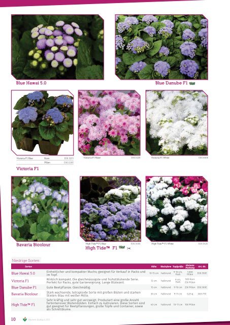 Katalog Blumensamen 2017-2019 Küpper