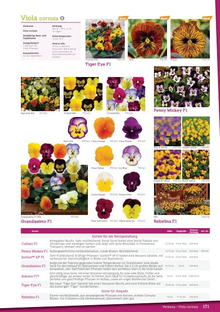 Katalog Blumensamen 2017-2019 Küpper