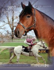 2017 Stallion Guide Flip magazine