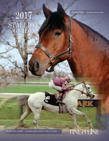 2017 Stallion Guide Flip magazine