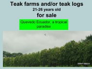 2016  A Presentation of Teak farm or teak logs from Biolcom Ecuador