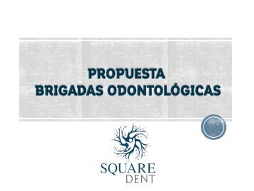 Proyecto Brigadas I