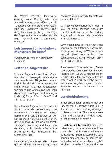 Fachlexikon Behinderung und Beruf 2011, Integrationsamt